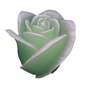 Groene roos figuurkaars met druiven geur 100/120 (30 uur)