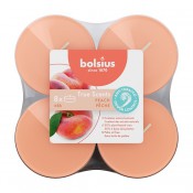 Bolsius perzik - peach maxi geurtheelichtjes 8 stuks (8 uur) clear cups True Scents