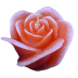 Oudroze roos figuurkaars met aardbeien geur (30 uur)