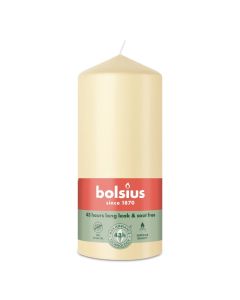 10 stuks witte stompkaarsen 120/60 van Bolsius extra goedkoop in een voordeel verpakking