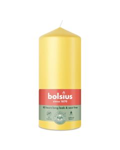 10 stuks witte stompkaarsen 120/60 van Bolsius extra goedkoop in een voordeel verpakking