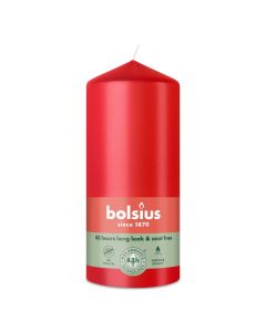 10 stuks witte stompkaarsen 120/60 van Bolsius extra goedkoop in een voordeel verpakking