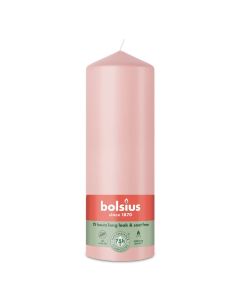 10 stuks witte stompkaarsen 120/60 van Bolsius extra goedkoop in een voordeel verpakking