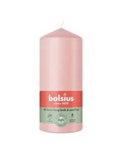 10 stuks witte stompkaarsen 120/60 van Bolsius extra goedkoop in een voordeel verpakking