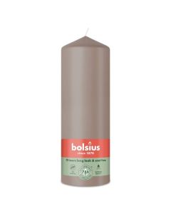 10 stuks witte stompkaarsen 120/60 van Bolsius extra goedkoop in een voordeel verpakking