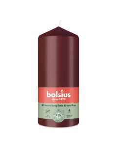 10 stuks witte stompkaarsen 120/60 van Bolsius extra goedkoop in een voordeel verpakking