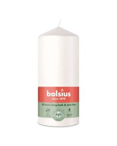10 stuks witte stompkaarsen 120/60 van Bolsius extra goedkoop in een voordeel verpakking