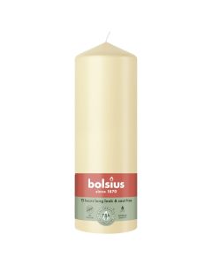10 stuks witte stompkaarsen 120/60 van Bolsius extra goedkoop in een voordeel verpakking