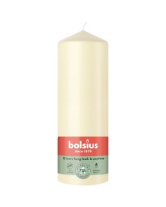 10 stuks witte stompkaarsen 120/60 van Bolsius extra goedkoop in een voordeel verpakking