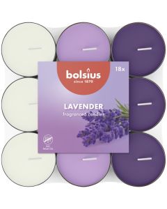 144 stuks Bolsius lavendel geurtheelichtjes (3 uur) - grootverpakking