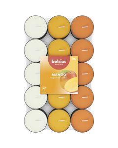 Bolsius mango geurtheelichtjes (3 uur) verpakt per 240 stuks