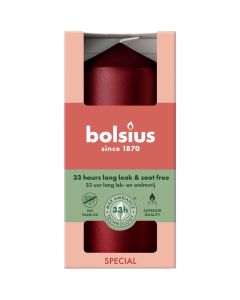 10 stuks witte stompkaarsen 120/60 van Bolsius extra goedkoop in een voordeel verpakking