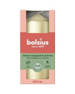 10 stuks witte stompkaarsen 120/60 van Bolsius extra goedkoop in een voordeel verpakking