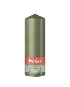 10 stuks witte stompkaarsen 120/60 van Bolsius extra goedkoop in een voordeel verpakking