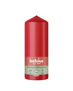 10 stuks witte stompkaarsen 120/60 van Bolsius extra goedkoop in een voordeel verpakking