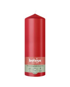 10 stuks witte stompkaarsen 120/60 van Bolsius extra goedkoop in een voordeel verpakking