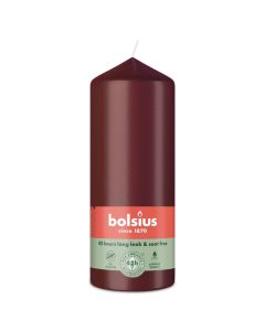 10 stuks witte stompkaarsen 120/60 van Bolsius extra goedkoop in een voordeel verpakking
