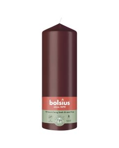 10 stuks witte stompkaarsen 120/60 van Bolsius extra goedkoop in een voordeel verpakking