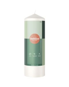 10 stuks witte stompkaarsen 120/60 van Bolsius extra goedkoop in een voordeel verpakking