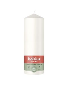 10 stuks witte stompkaarsen 120/60 van Bolsius extra goedkoop in een voordeel verpakking