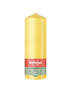 10 stuks witte stompkaarsen 120/60 van Bolsius extra goedkoop in een voordeel verpakking
