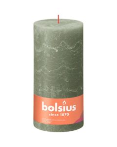 10 stuks witte stompkaarsen 120/60 van Bolsius extra goedkoop in een voordeel verpakking