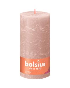 10 stuks witte stompkaarsen 120/60 van Bolsius extra goedkoop in een voordeel verpakking