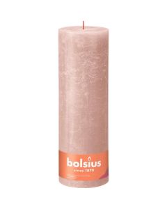 10 stuks witte stompkaarsen 120/60 van Bolsius extra goedkoop in een voordeel verpakking