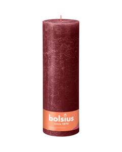 10 stuks witte stompkaarsen 120/60 van Bolsius extra goedkoop in een voordeel verpakking