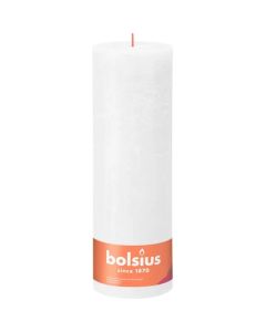 10 stuks witte stompkaarsen 120/60 van Bolsius extra goedkoop in een voordeel verpakking