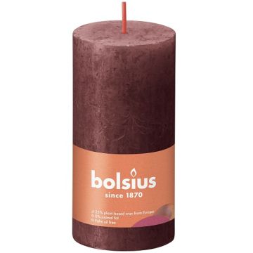 Bolsius wijnrood rustiek stompkaarsen 100/50 (30 uur) Eco Shine Velvet Red