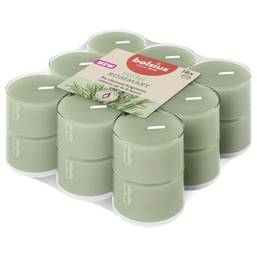 Bolsius rosemary geurtheelichtjes (6 uur) clear cups true scents