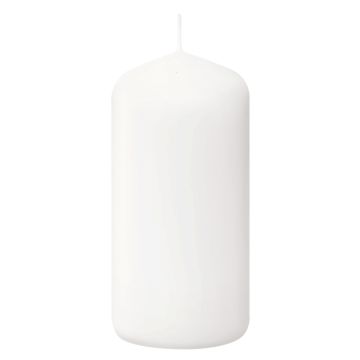 Bolsius Professional witte stompkaars 100/50 (20 uur)