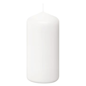 Bolsius Professional witte stompkaars 120/60 (33 uur) 