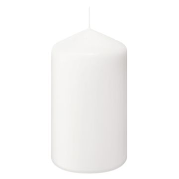 Bolsius Professional wit stompkaars 150/80 (70 uur)