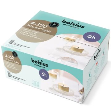 Bolsius Professional witte 6-uurs waxinelichtjes gold cups verpakt per 600 stuks