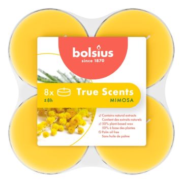 Bolsius true scents clear cups mimosa maxi geurtheelichtjes (8 uur) verpakt per 48 stuks