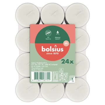 Bolsius witte 6-uurs clear cup waxinelichtjes verpakt per 144 stuks