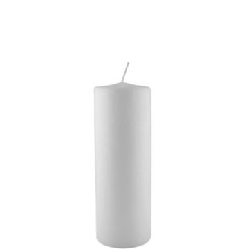 6 stuks hoogwaardige witte stompkaarsen 150/60 met lange brandduur en goede brandeigenschappen