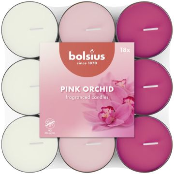 Bolsius orchidee geurtheelichtjes (3 uur) verpakt per 144 stuks