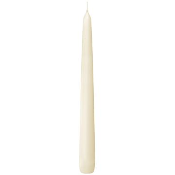 Bolsius professional gotisch ivoor dinerkaarsen 250/24 (8 uur)