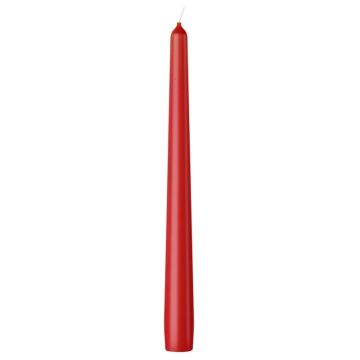 Bolsius rood gotische dinerkaarsen 245/24 (7 uur) delicate red