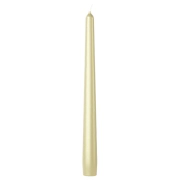 Bolsius zilver gotische dinerkaarsen 245/24 (7 uur) metallic white silver