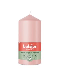 10 stuks witte stompkaarsen 120/60 van Bolsius extra goedkoop in een voordeel verpakking