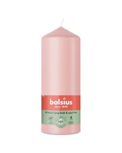 10 stuks witte stompkaarsen 120/60 van Bolsius extra goedkoop in een voordeel verpakking