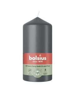 10 stuks witte stompkaarsen 120/60 van Bolsius extra goedkoop in een voordeel verpakking