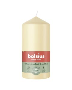 10 stuks witte stompkaarsen 120/60 van Bolsius extra goedkoop in een voordeel verpakking