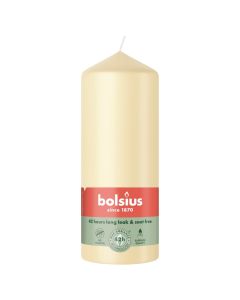 10 stuks witte stompkaarsen 120/60 van Bolsius extra goedkoop in een voordeel verpakking