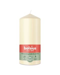 10 stuks witte stompkaarsen 120/60 van Bolsius extra goedkoop in een voordeel verpakking