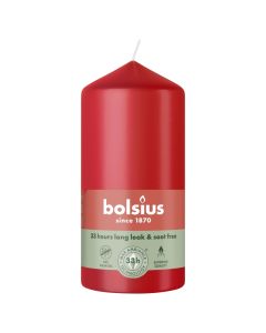 10 stuks witte stompkaarsen 120/60 van Bolsius extra goedkoop in een voordeel verpakking